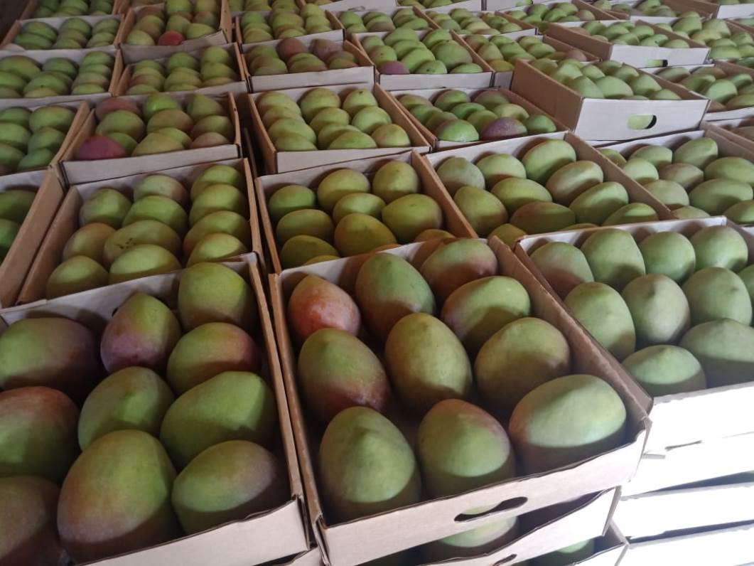 Fresh Produce